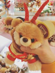 -Nuzzle(静安大悦城店)