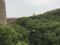 -上海佘山茂御臻品之选酒店(原佘山艾美酒店)