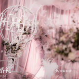 做我的小公主,给你圆最满的少女心|🥰天津婚礼