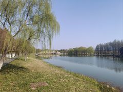 -合肥滨湖国家森林公园