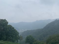 -西湖风景区十里琅珰-五云山