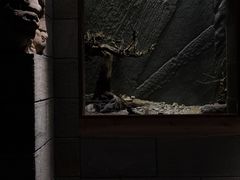 -源石酒庄