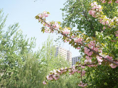 -山东大学(洪家楼校区)