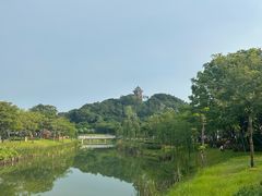 -王借岗森林公园