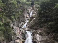 -九龙江国家森林公园