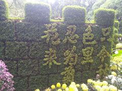 -汇龙潭