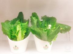 -珍巴奴毛肚牛肉小火锅(四惠店)