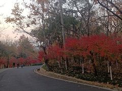 -涵家味土菜馆·徽州一绝臭鳜鱼(三河古镇店)