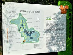 -西湖风景区-江洋畈生态公园