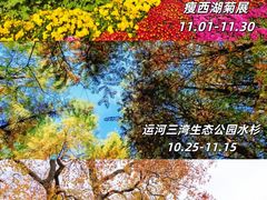 -陈记菜馆·非遗淮扬菜(东关街教场店)
