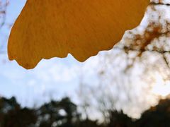 -香山公园-东宫门售票处