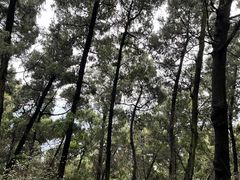 -金堂县云顶石城风景区