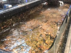 -海鲜e族(马王堆店)