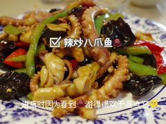 辣炒八爪鱼-北方饺子王·海肠捞饭·海鲜锅(山大店)