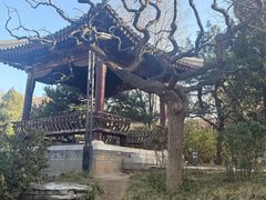 -元大都城垣遗址公园