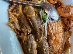 -渔娘渔家丹东海鲜(东直门店)