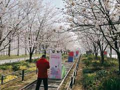 -新天地活力PARK