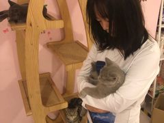 -三花喵·撸猫购宠·宠物生活馆(虹桥南丰城店)