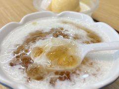 水牛奶雪燕炖桃胶-豆豆冰室·地道招牌椰子冻(大良店)