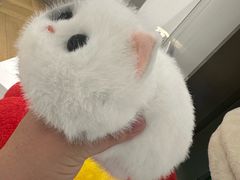 -鹰巢数码·EAGLE’S NEST(SKP店)