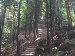 -火炉山森林公园