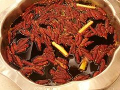 android_upload_pic-小王少龙火锅(沙南街店)