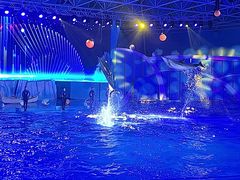 -海合安青岛极地海洋公园