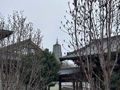 -舍利塔滩地公园-无垢净光舍利塔