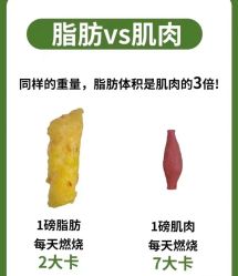 -Fundi张玉珊修身堂·indiba·BTL科技瘦身