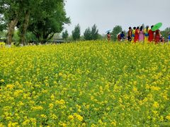 -长白岛森林公园