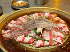 -小牛哈尼章鱼水煎肉(金鹰店)