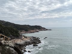 -广东惠东海龟国家级自然保护区