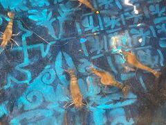 -钳真多钓虾馆·小龙虾海鲜烧烤(九六广场店)