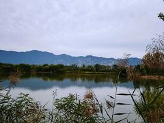 -翠湖国家城市湿地公园