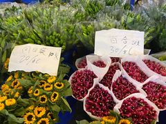 -三圣花乡旅游区