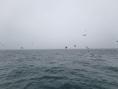 -大连星海广场音乐喷泉