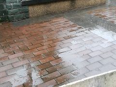 -吴淞炮台湾湿地森林公园烧烤区