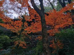 -宁波市保国寺古建筑博物馆