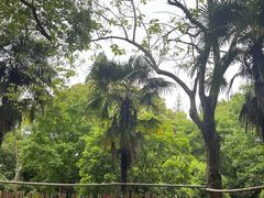 -上海佘山国家森林公园西佘山园