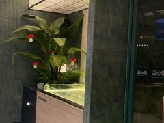 -芸山季·云南山珍菌火锅(南翔印象城MEGA店)