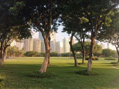 -万绿园