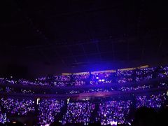 -南京奥林匹克体育中心-体育馆