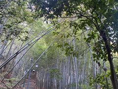 -敬亭山风景名胜区