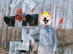 -合肥滨湖国家森林公园