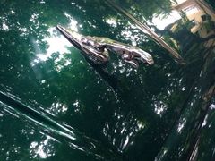 iphone_upload_pic-上海伟杰·捷豹路虎4S店(闵行店)