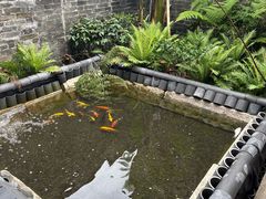 -大旗头古村