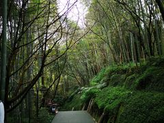 -峨眉山报国寺