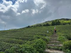 -东白山