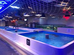 -日进一片海.生腌海鲜火锅.宵夜烧烤(三里屯总店)