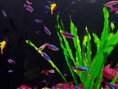 -成都浩海立方海洋公园